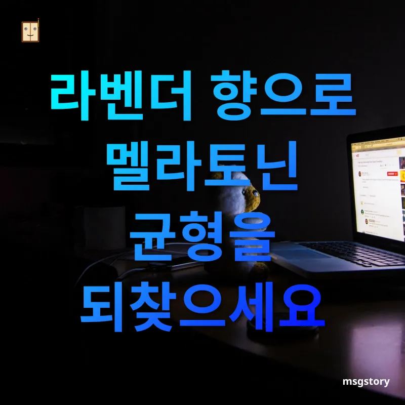 불면증 극복 라벤더 향으로 멜라토닌 균형을 되찾으세요 관련 이미지