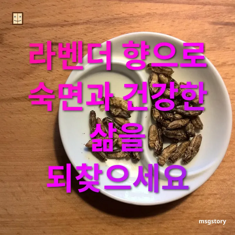 불면증 극복 라벤더 향으로 숙면과 건강한 삶을 되찾으세요 관련 이미지