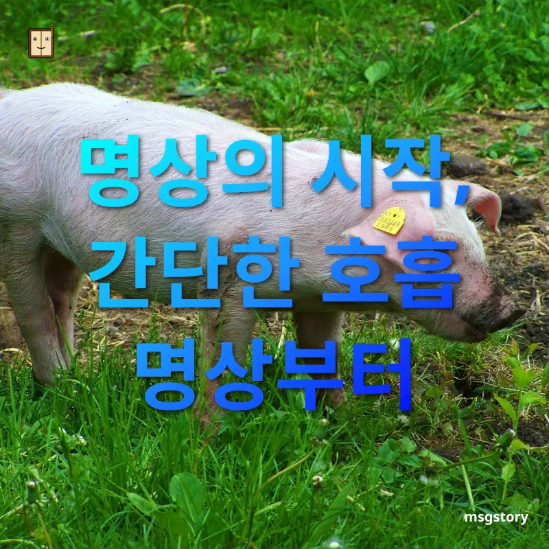 명상의 이점 명상의 시작, 간단한 호흡 명상부터 관련 이미지