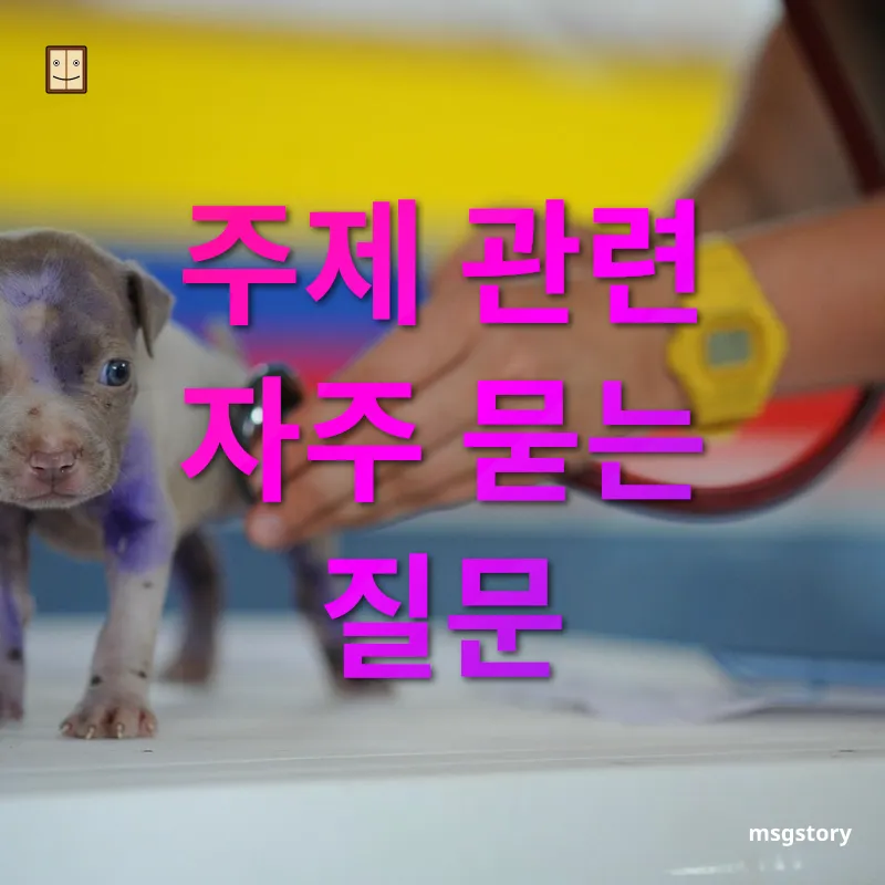 건강검진 주제 관련 자주 묻는 질문 관련 이미지