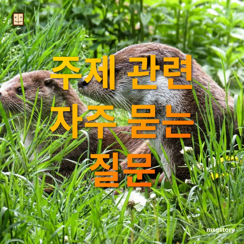 컴퓨터 관리와 정기 점검 주제 관련 자주 묻는 질문 관련 이미지