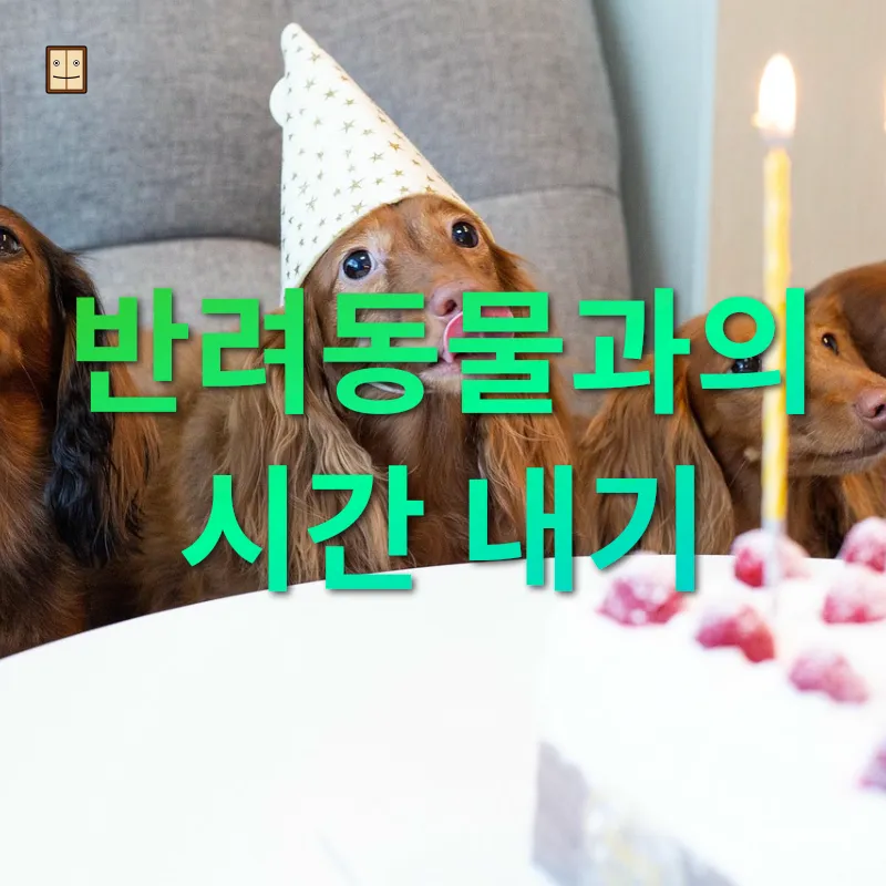 반려동물과의 행복한 삶 - 일상의 소중한 시간 내기 반려동물과의 행복한 삶 일상의 소중한 시간 내기 관련 이미지