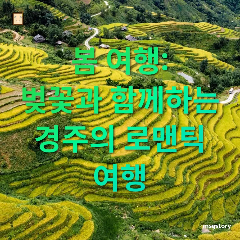 사계절 여행지 - 경주 벚꽃의 아름다움 사계절 여행지 경주 벚꽃의 아름다움 관련 이미지