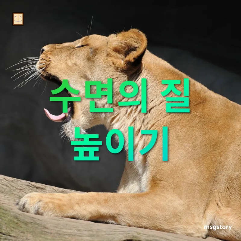 만성피로 관리 충분한 숙면이 최고의 피로 해결책 관련 이미지