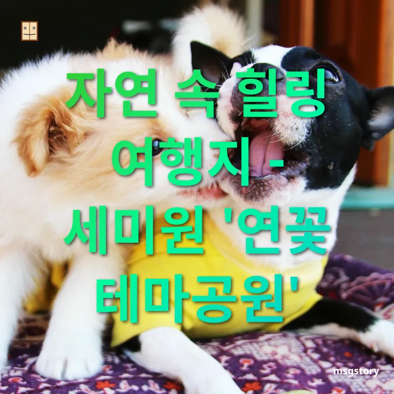 혼자 여행하기 좋은 경기도 여행지 - 아름다운 연꽃과 편안한 산책로 혼자 여행하기 좋은 경기도 여행지 아름다운 연꽃과 편안한 산책로 관련 이미지