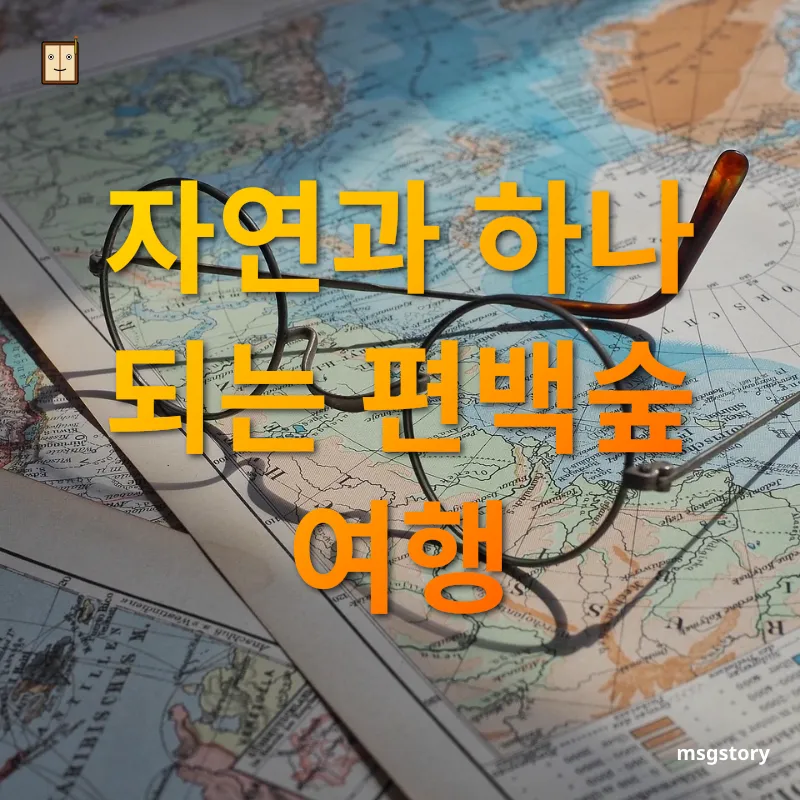 여행지 탐방 - 편백숲의 매력 여행지 탐방 편백숲의 매력 관련 이미지