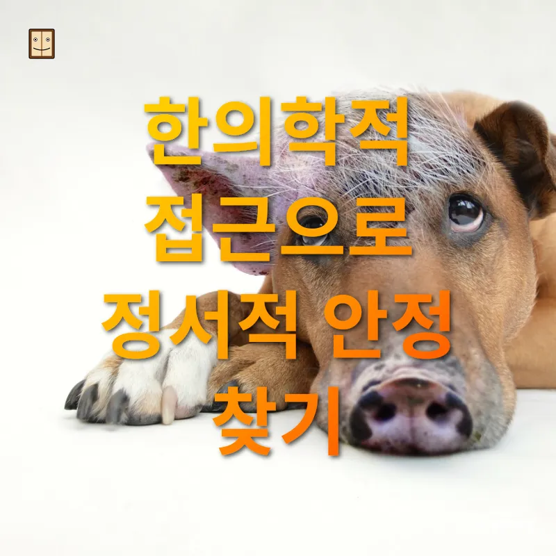 발표 불안증 극복 인체 에너지 균형 잡기 관련 이미지