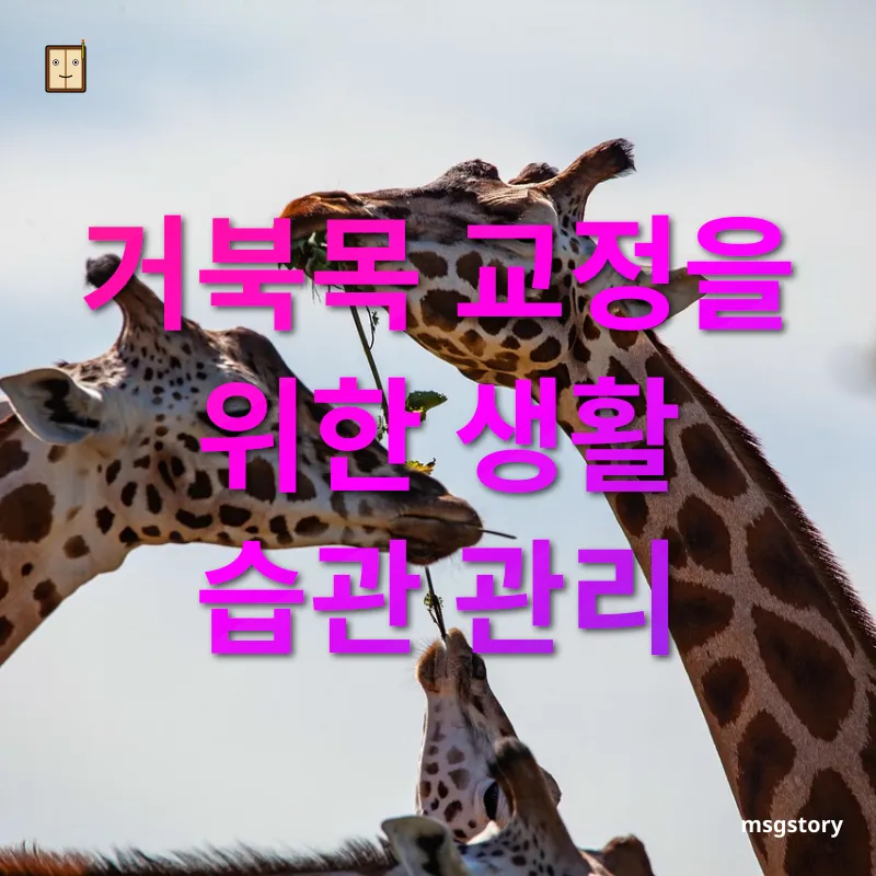 거북목 교정 - 거북목 교정을 위한 생활 습관 관리 거북목 교정 거북목 교정을 위한 생활 습관 관리 관련 이미지