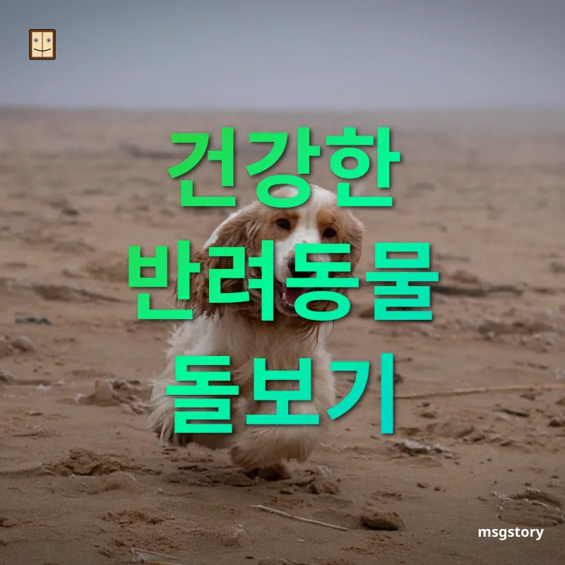 반려동물과의 행복한 삶 - 건강한 반려동물 돌보기 반려동물과의 행복한 삶 건강한 반려동물 돌보기 관련 이미지
