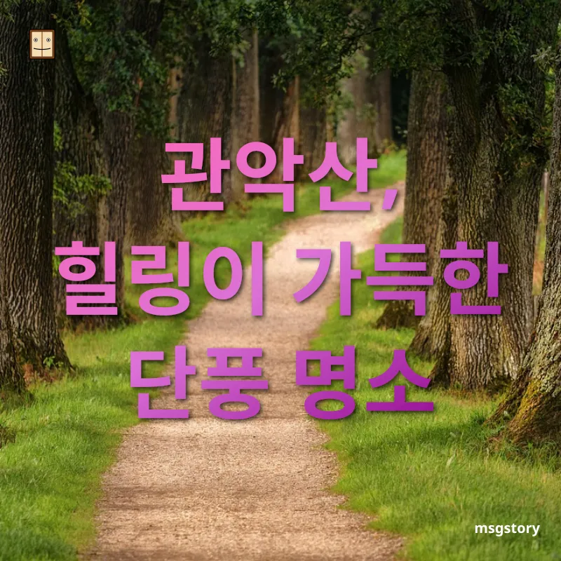 등산 - 관악산, 힐링이 가득한 단풍 명소 등산 관악산, 힐링이 가득한 단풍 명소 관련 이미지