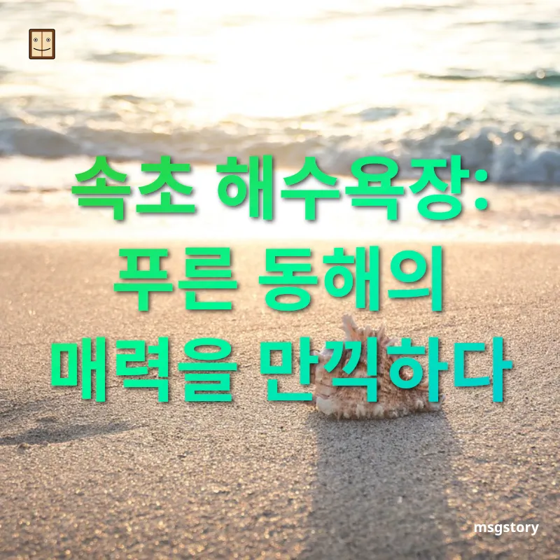 해수욕장 여행 - 속초 해수욕장: 푸른 동해의 매력을 만끽하다 해수욕장 여행 속초 해수욕장: 푸른 동해의 매력을 만끽하다 관련 이미지