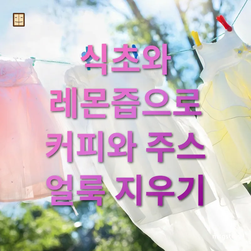 의류 얼룩 제거 식초와 레몬즙으로 커피와 주스 얼룩 지우기 관련 이미지