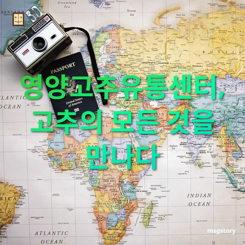 숨은 여행지 탐험 영양고추유통센터, 고추의 모든 것을 만나다 관련 이미지