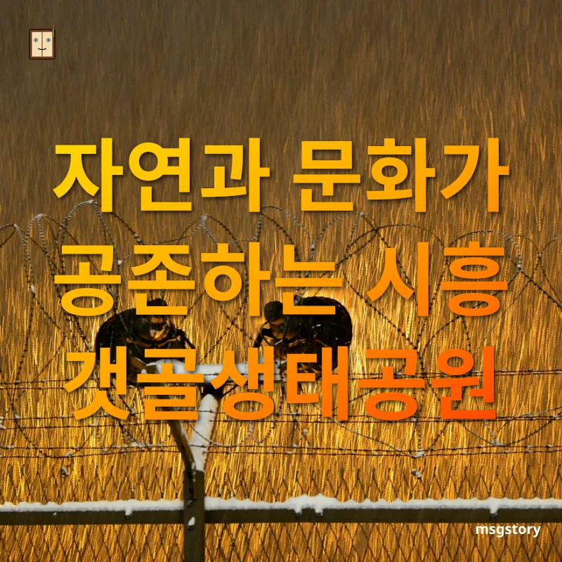혼자 여행하기 좋은 경기도 여행지 - 자연과 문화가 공존하는 시흥 갯골생태공원 혼자 여행하기 좋은 경기도 여행지 자연과 문화가 공존하는 시흥 갯골생태공원 관련 이미지