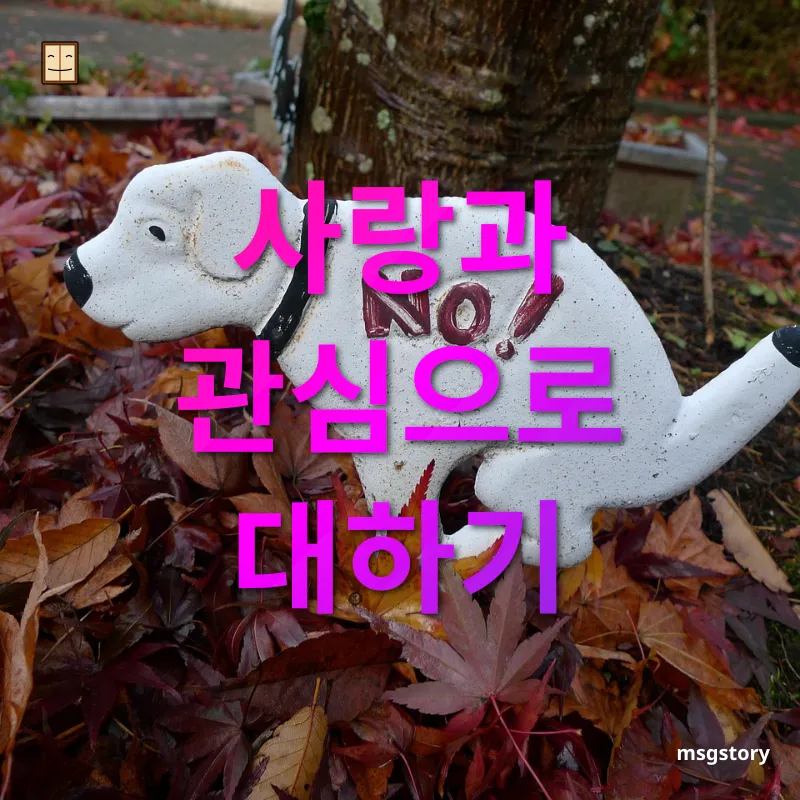 반려동물과의 행복한 삶 - 사랑과 관심으로 대하기 반려동물과의 행복한 삶 사랑과 관심으로 대하기 관련 이미지