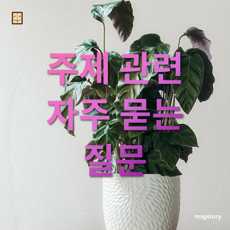 미니멀 라이프 - 주제 관련 자주 묻는 질문 미니멀 라이프 주제 관련 자주 묻는 질문 관련 이미지