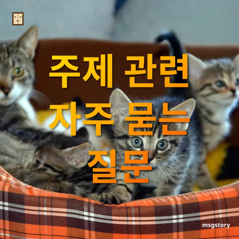 반려동물과의 행복한 삶 - 주제 관련 자주 묻는 질문 반려동물과의 행복한 삶 주제 관련 자주 묻는 질문 관련 이미지
