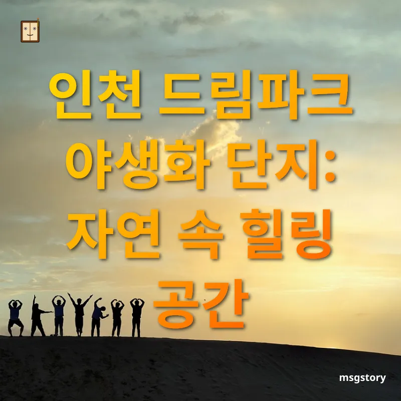 서울 근교 힐링 여행 - 인천 드림파크 야생화 단지: 자연 속 힐링 공간 서울 근교 힐링 여행 인천 드림파크 야생화 단지: 자연 속 힐링 공간 관련 이미지