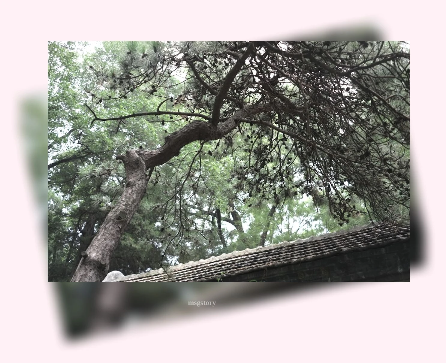 거북목 교정 - 거북목 개선을 위한 전문가의 조언 상세 정보 거북목 교정 거북목 개선을 위한 전문가의 조언 상세 설명 이미지